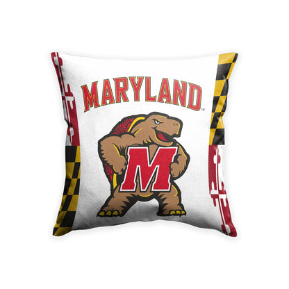 AGAS - Maryland University