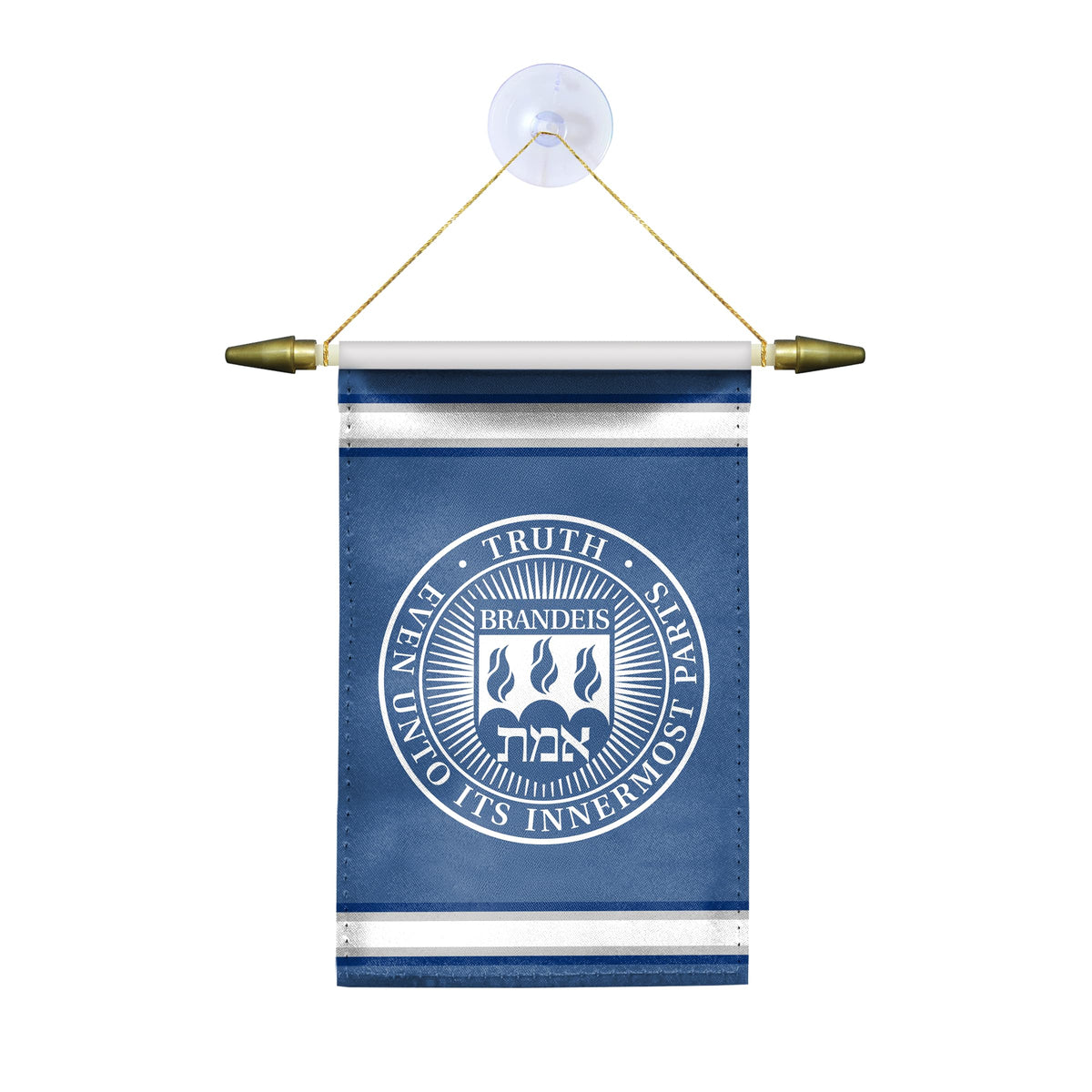 Brandeis University Mini Banner 4 x 6 inch