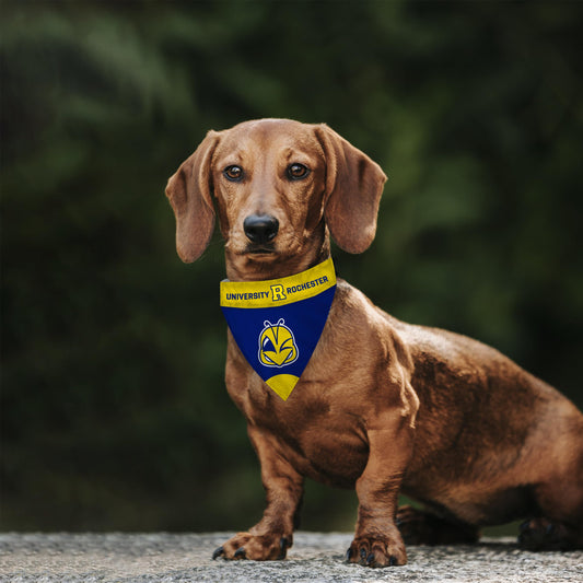 University of Rochester Pet Bandana 9.75 x 6.5 inch