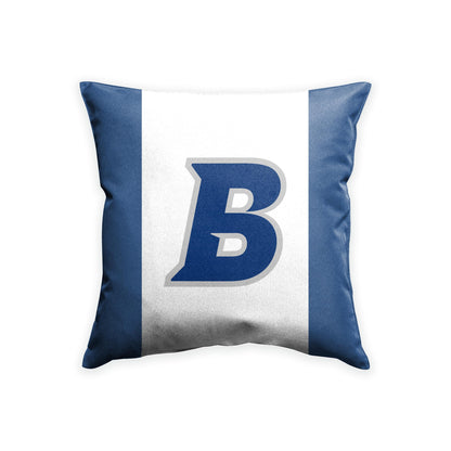 Brandeis University Cushion Cover 18 x 18 inch