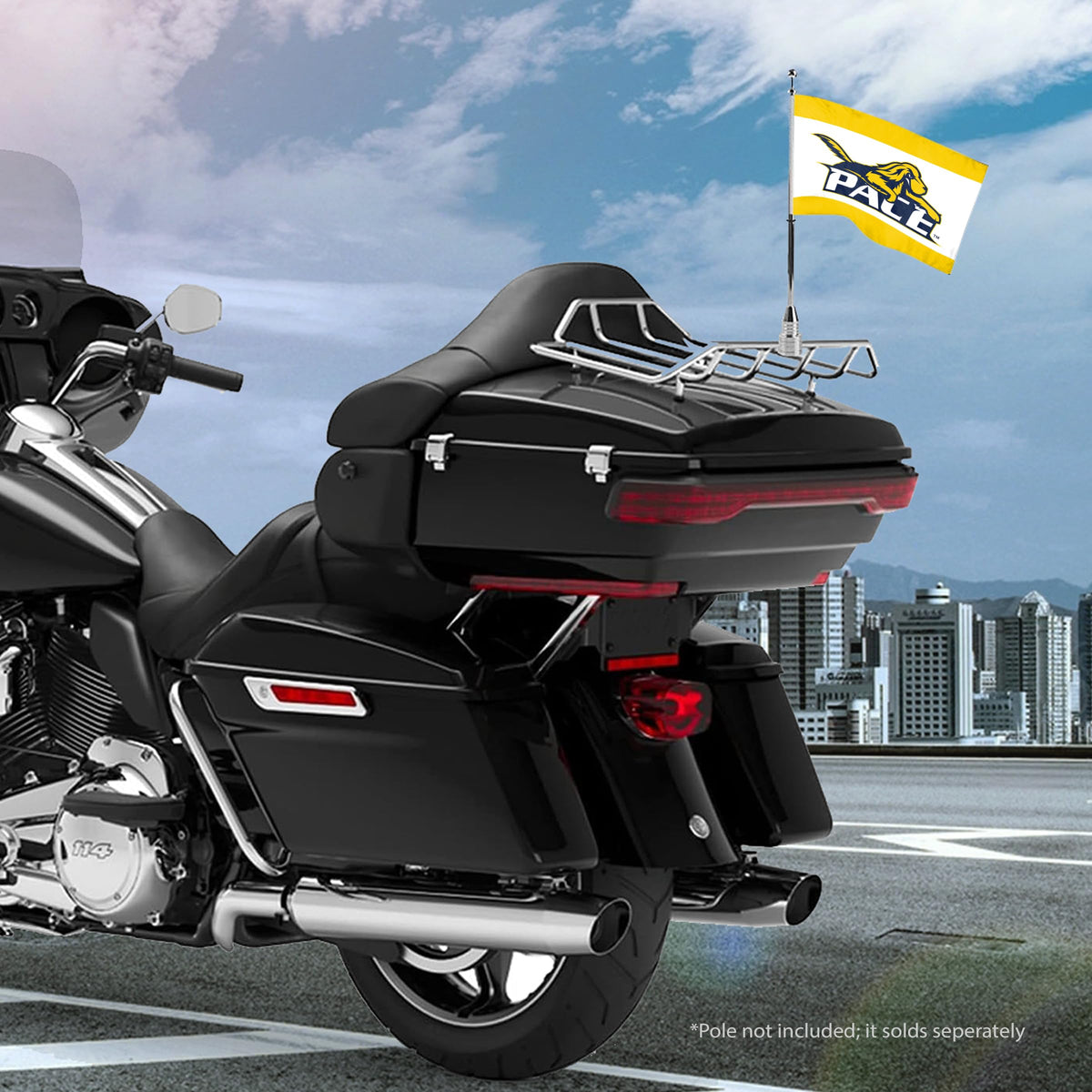 Pace University Motorcycle Flag 6 x 9 inch
