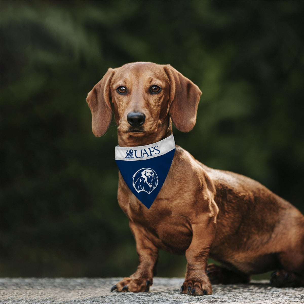 University of Arkansas Fort Smith Pet Bandana 9.75 x 6.5 inch