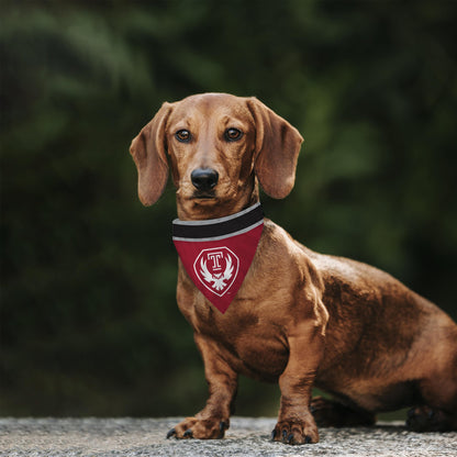 AGAS Temple Owls Logo Pet Bandana 9.75 x 6.5 inch – Single Sided Printed Polyester with Bleed Through – Officially Licensed NCAA Product – Temple University Pet Bandana - Collar Not Included