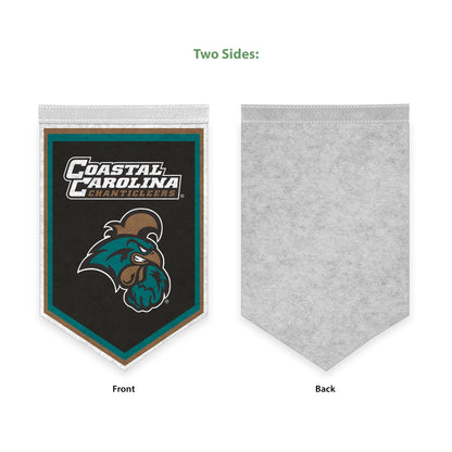 AGAS Mini Coastal Carolina CCU University Chanticleers Graduation Banner 12 x 18" - with Pole Sleeve