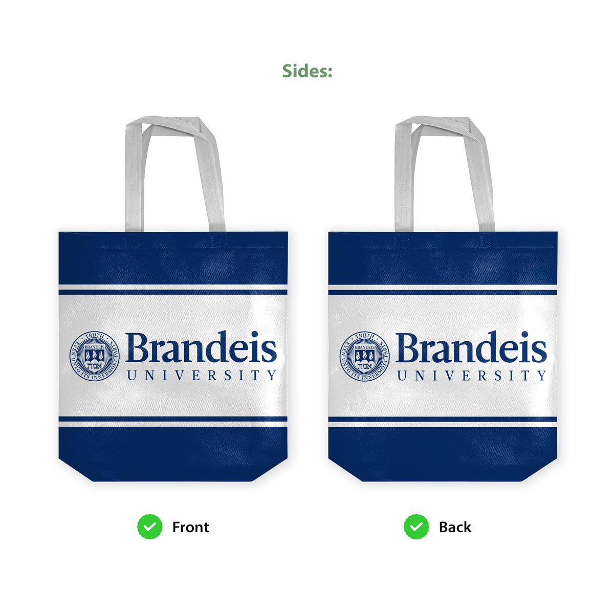 Brandeis University Tote Bag 14 x 14 x 8 inch