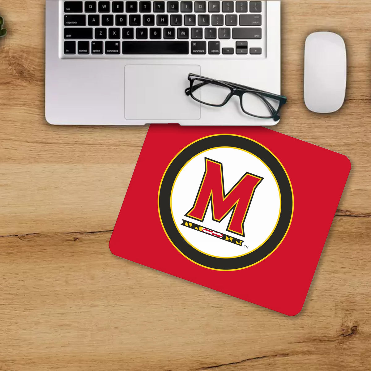 AGAS - Maryland University