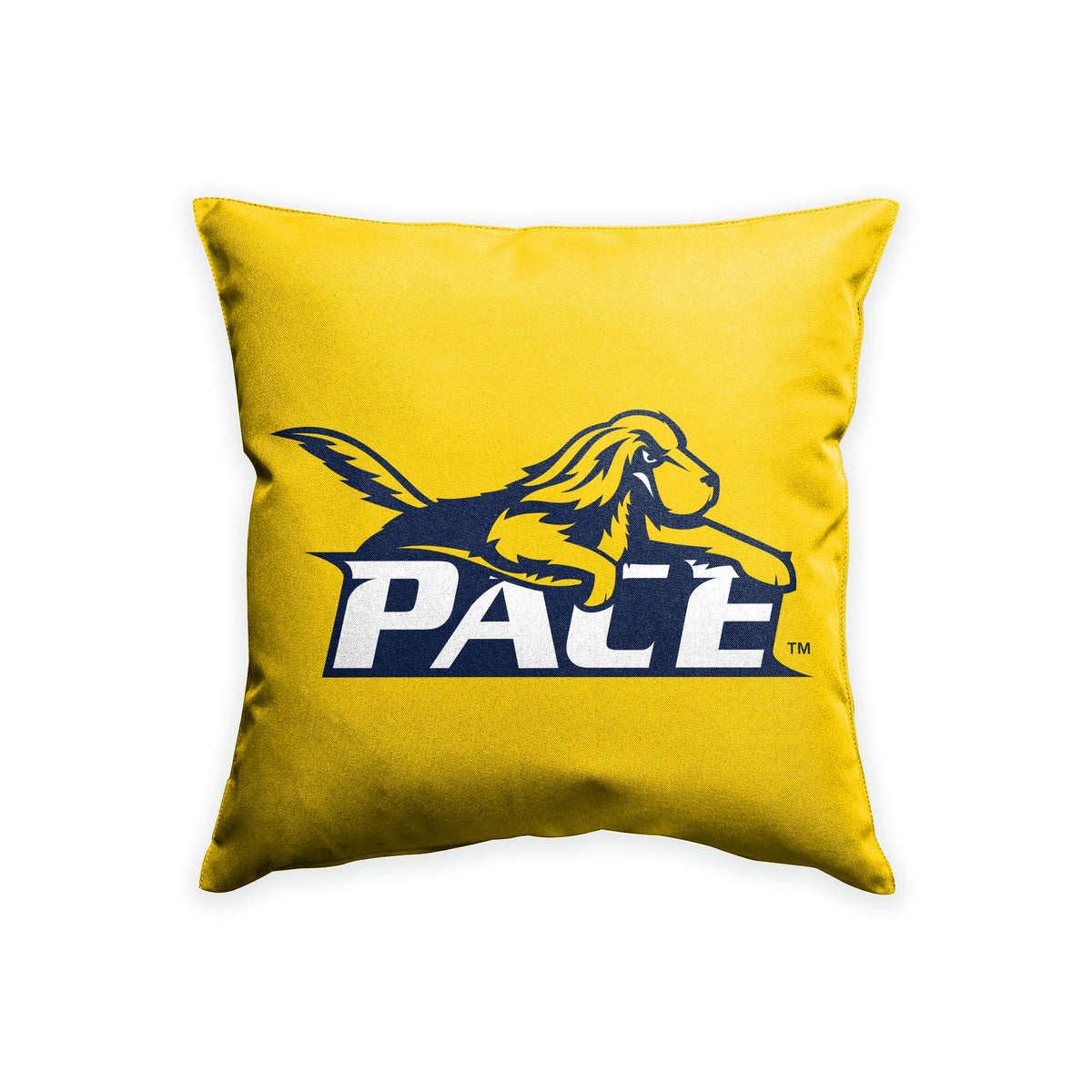 Pace University Cushion Cover 18 x 18 inch