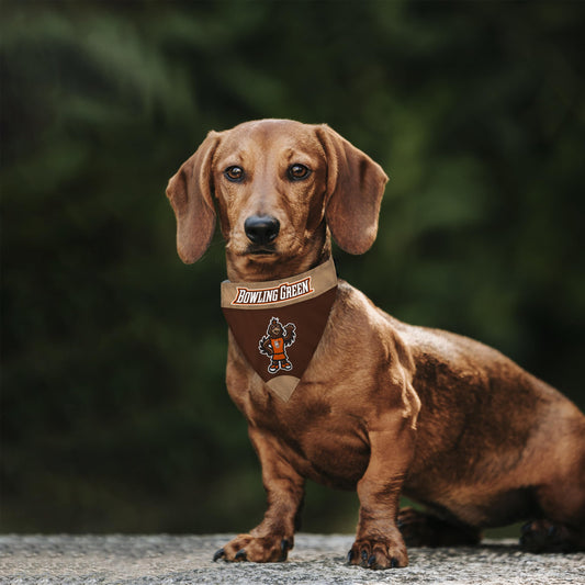 Bowling Green State University Pet Bandana 14.75 x 9.5 inch