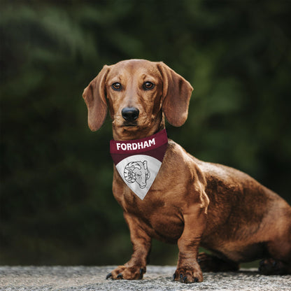 AGAS Fordham University Pet Bandana 14.75 x 9.5 inch – Single Sided Printed Polyester Fordham Rams Bandana with Ram Head Logo – Official NCAA Product – Fordham University Pet Bandana