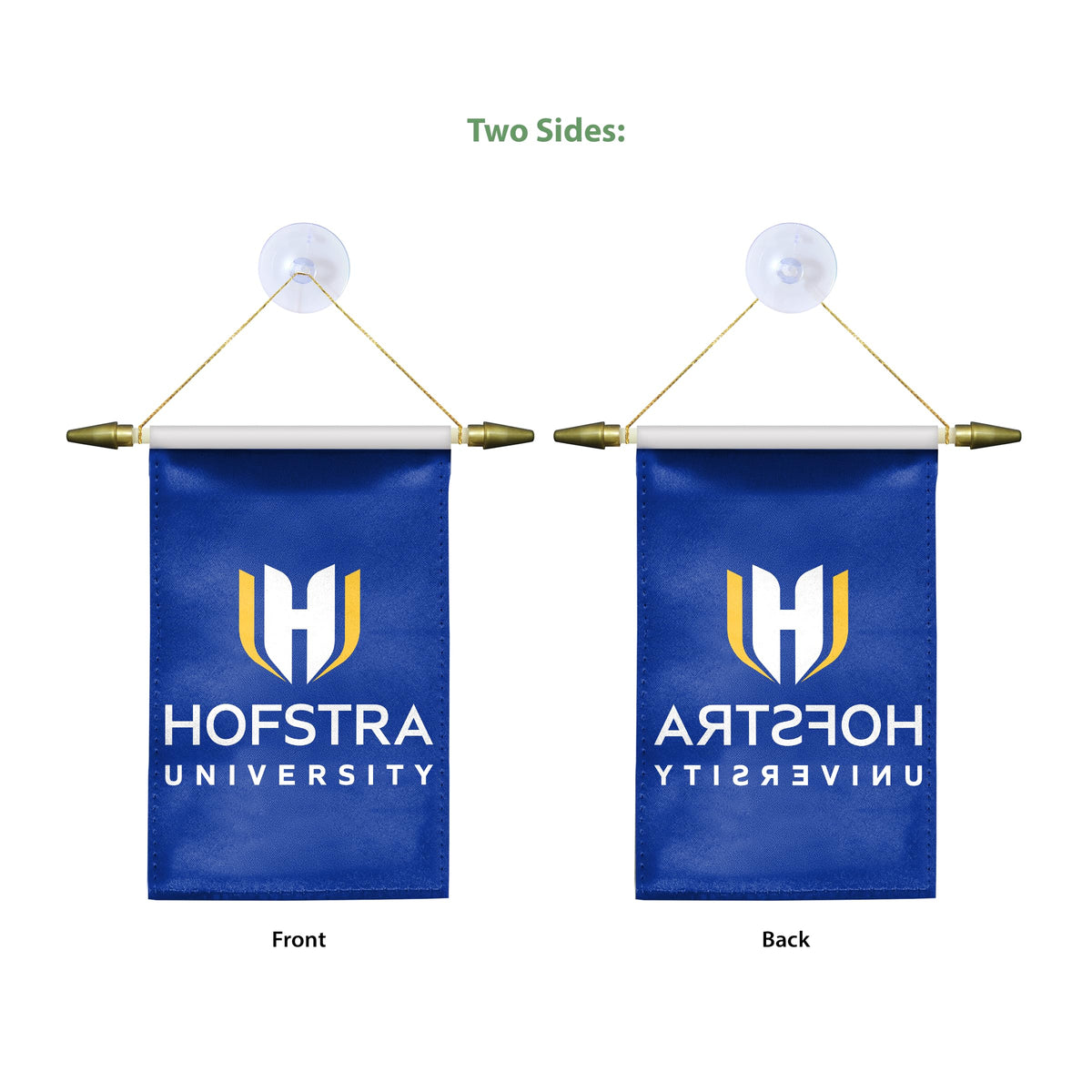 Hofstra University Mini Banner 4 x 6 inch