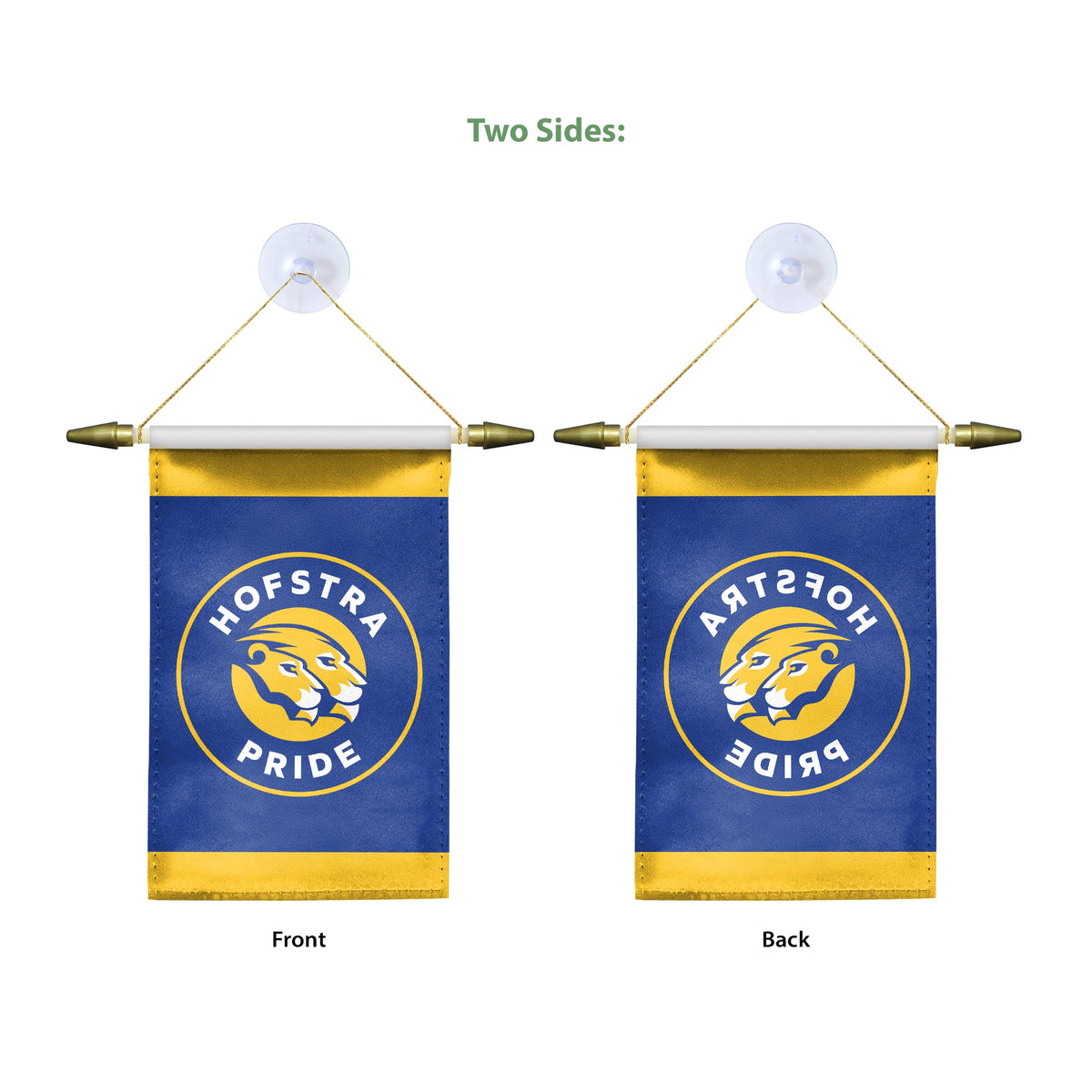 Hofstra University Mini Banner 4 x 6 inch