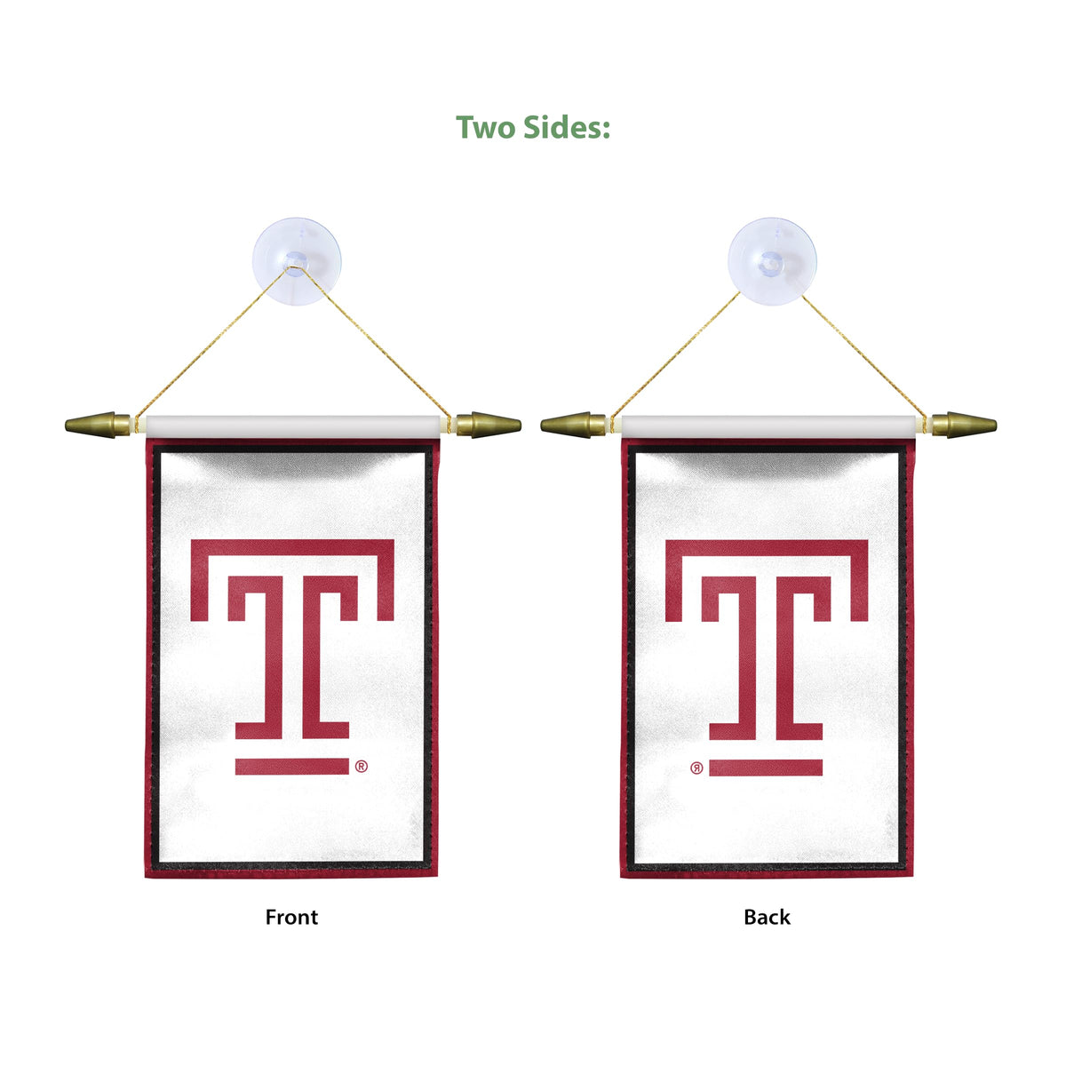 AGAS Temple University - Mini Banners 4 x 6 inches