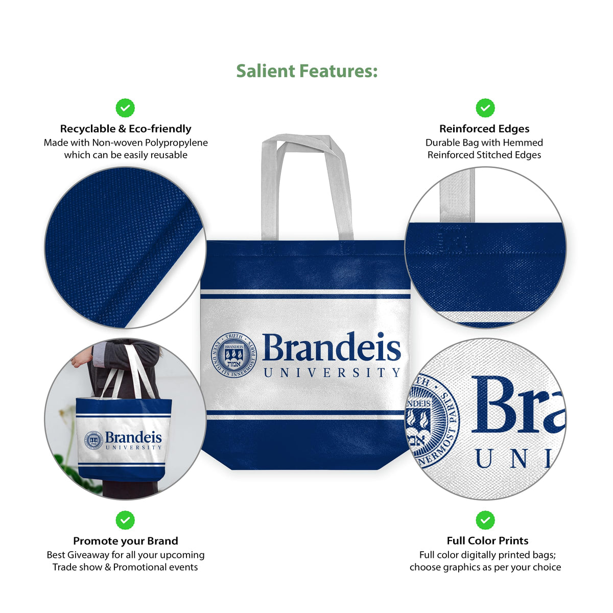 Brandeis University Tote Bag 14 x 14 x 8 inch
