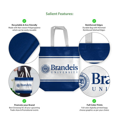 Brandeis University Tote Bag 14 x 14 x 8 inch