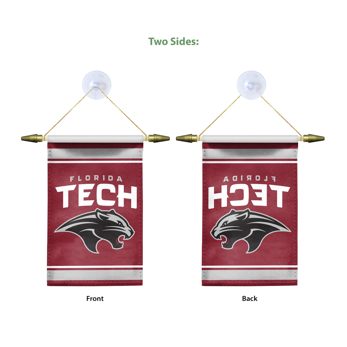 Florida Institute Of Technology Mini Banner 4 x 6 inch
