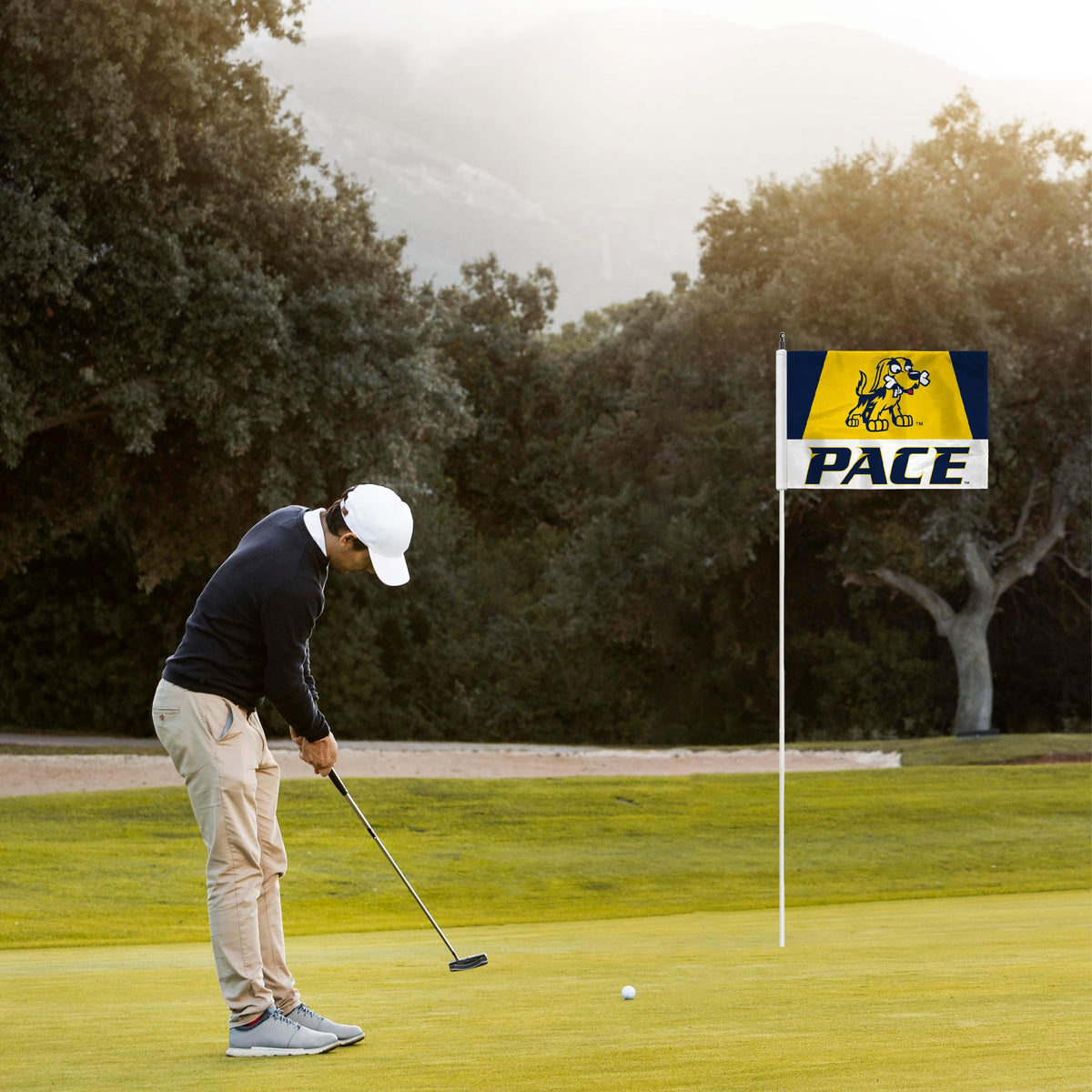 Pace University Golf Flag 14 x 20 inch