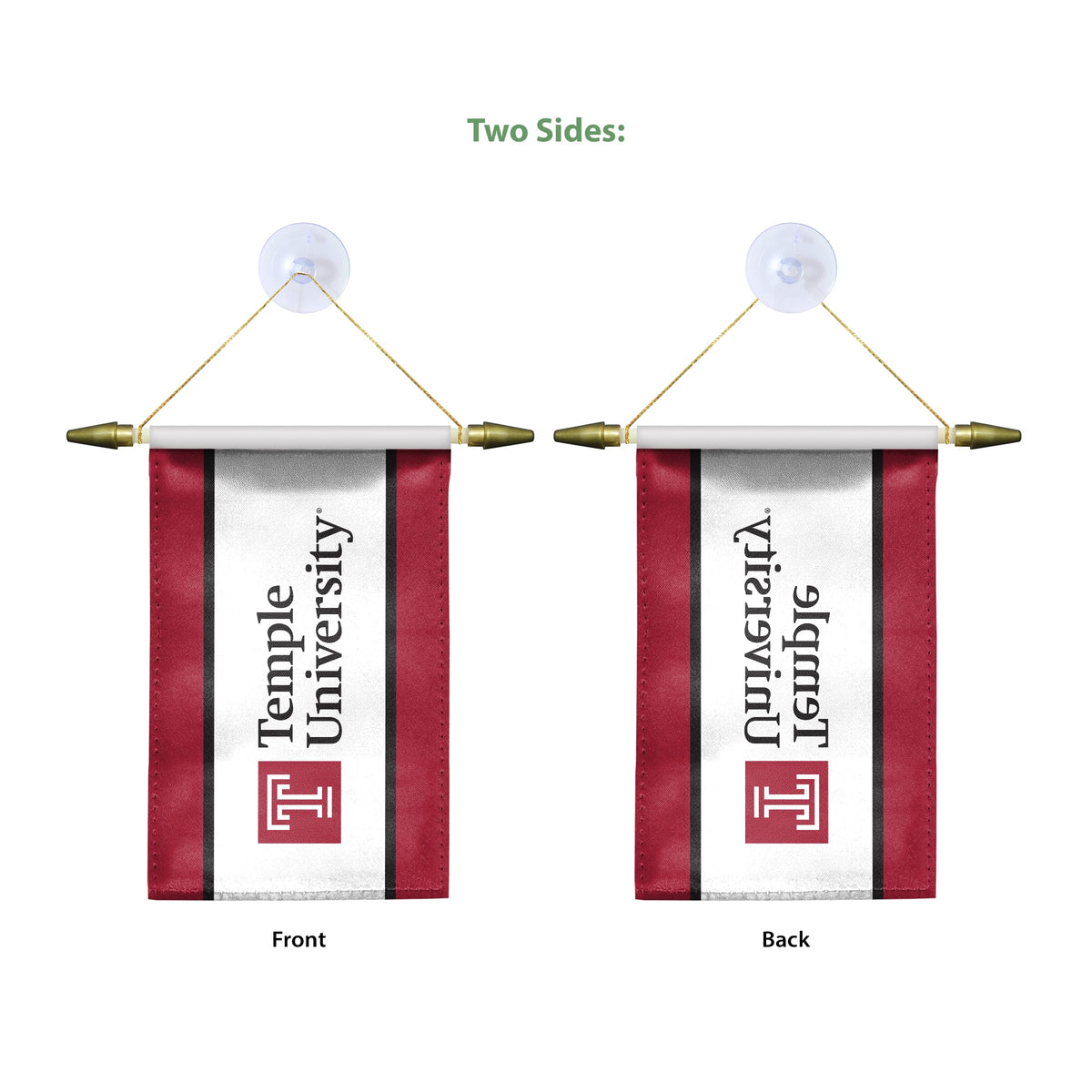 AGAS Temple University - Mini Banners 4 x 6 inches