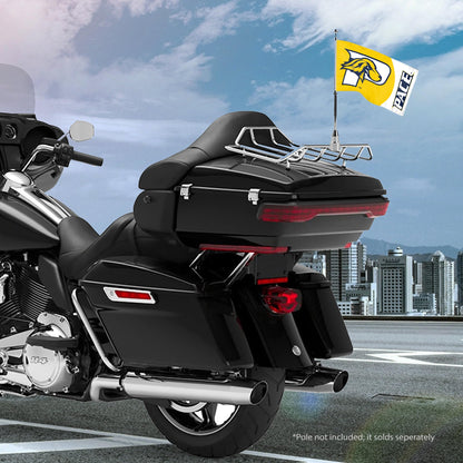 Pace University Motorcycle Flag 6 x 9 inch