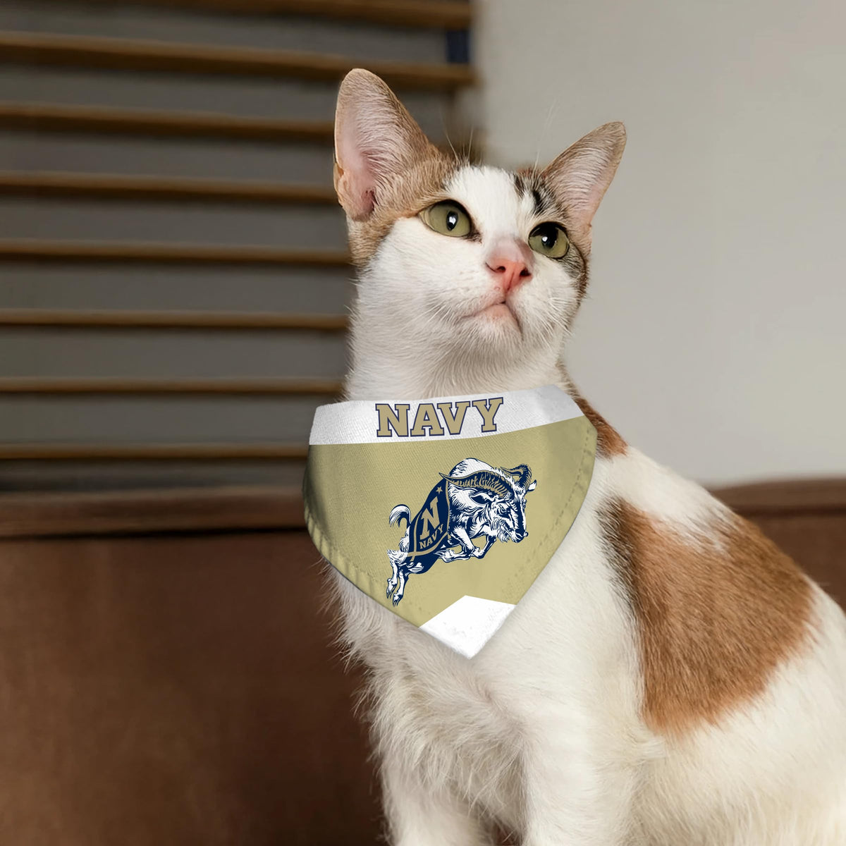AGAS United States Naval Academy Pet Bandana 9.75 x 6.5 inch – Single Sided Printed Polyester Wordmark Design – Officially Licensed Navy Midshipmen Pet Bandana