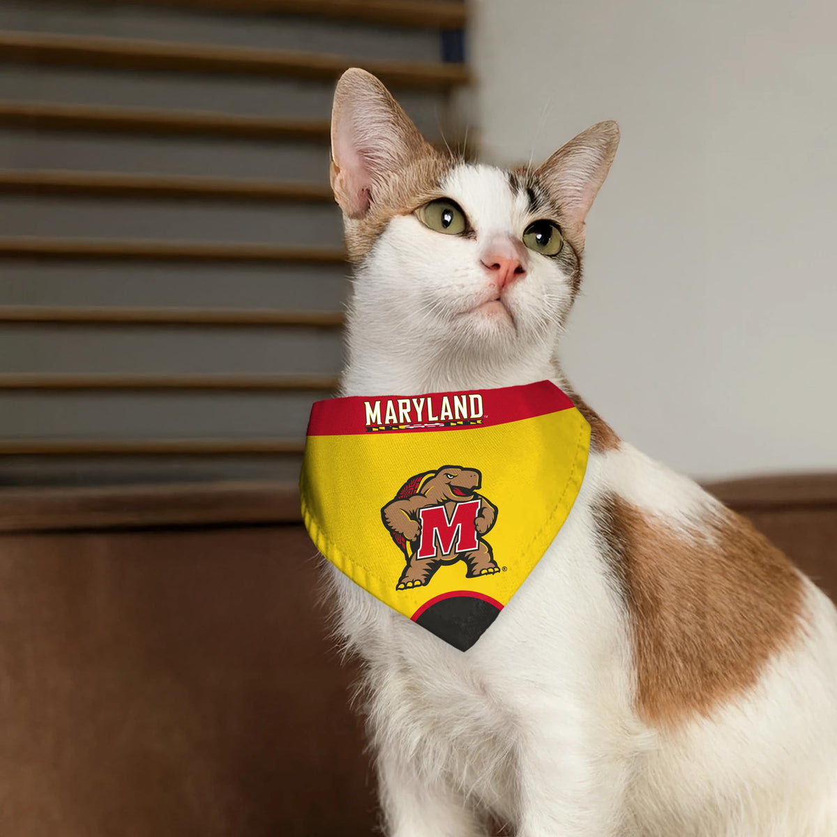 AGAS - Maryland University