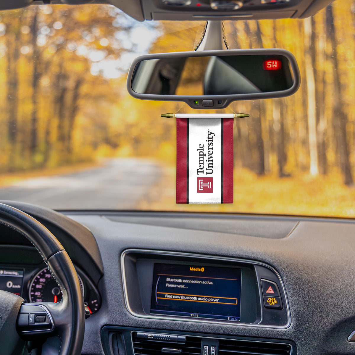 AGAS Temple University - Mini Banners 4 x 6 inches