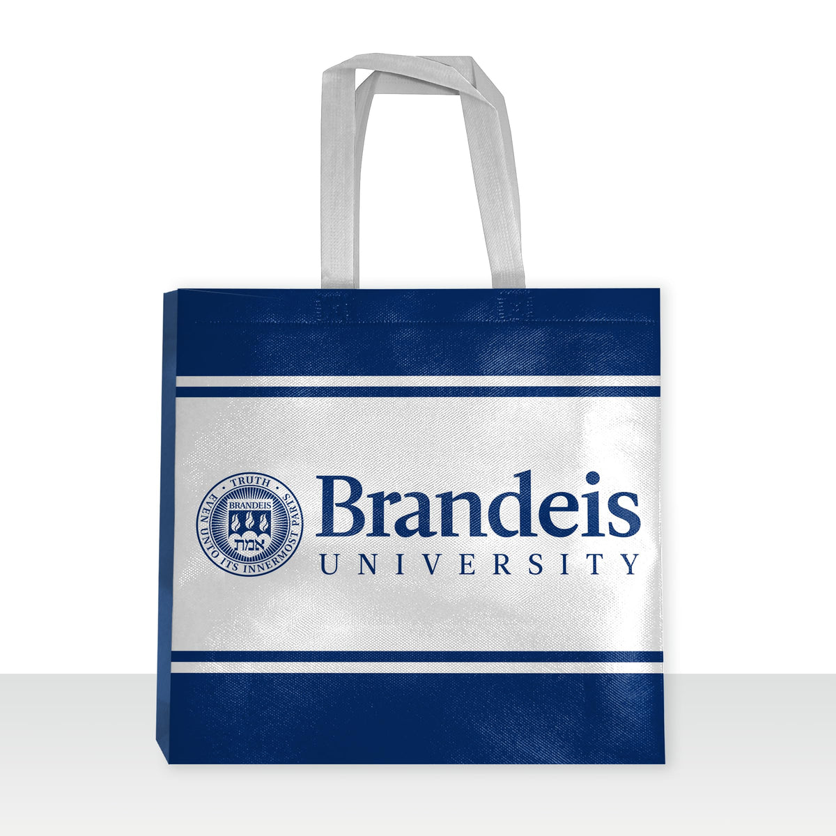 Brandeis University Tote Bag 14 x 14 x 8 inch