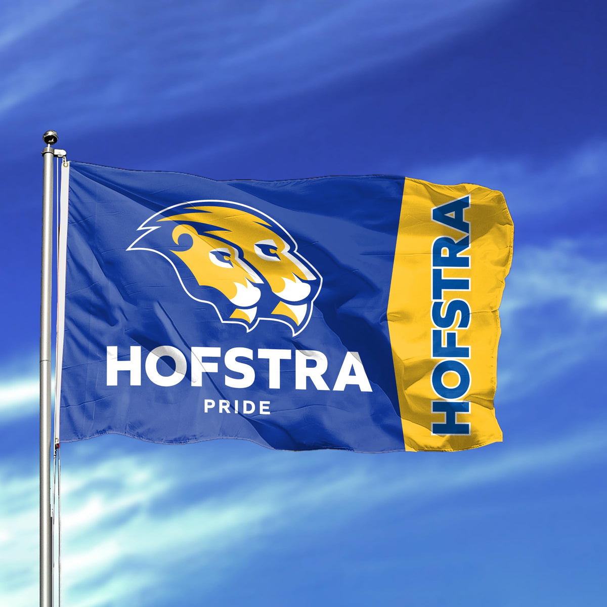 Hofstra University Flag 12 x 18 inch