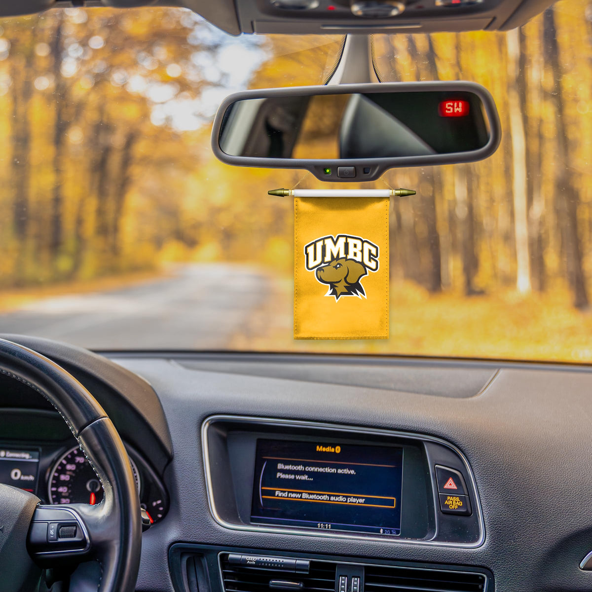University of Maryland Baltimore County Mini Banner 4 x 6 inch