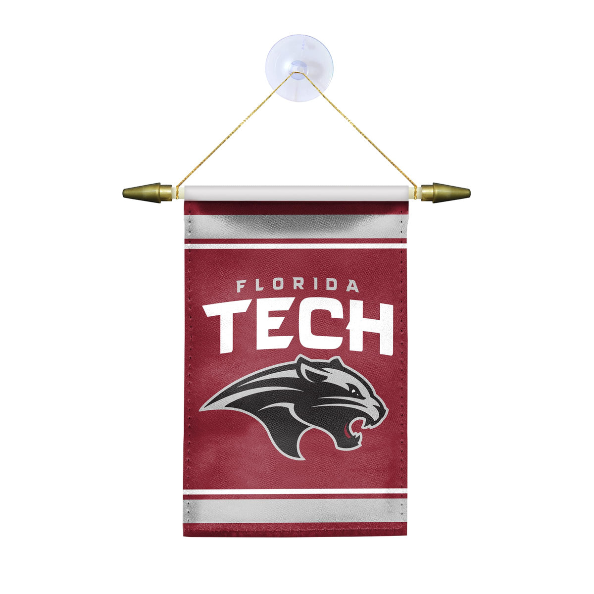 Florida Institute Of Technology Mini Banner 4 x 6 inch