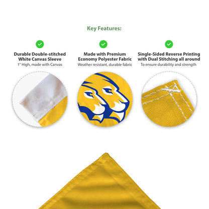 Hofstra University Economy Car Flag 12 x 16 inch