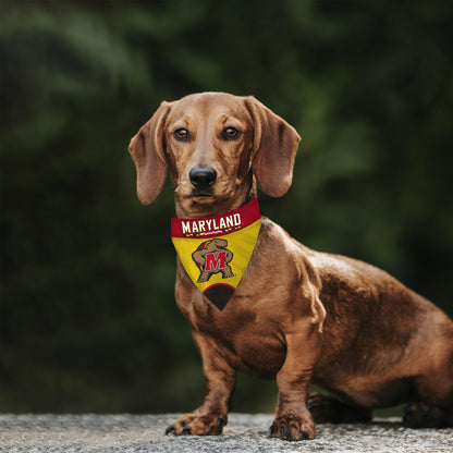 AGAS University of Maryland Pet Bandana 14.75 x 9.5 inch – Single Sided Printed Polyester Maryland Wordmark Design – Officially Licensed Maryland Terrapins Pet Bandana