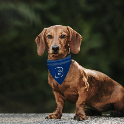 Brandeis University Pet Bandana 9.75 x 6.5 inch
