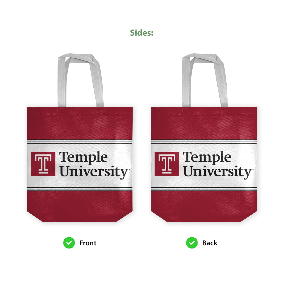 AGAS Temple University - Misc Flags
