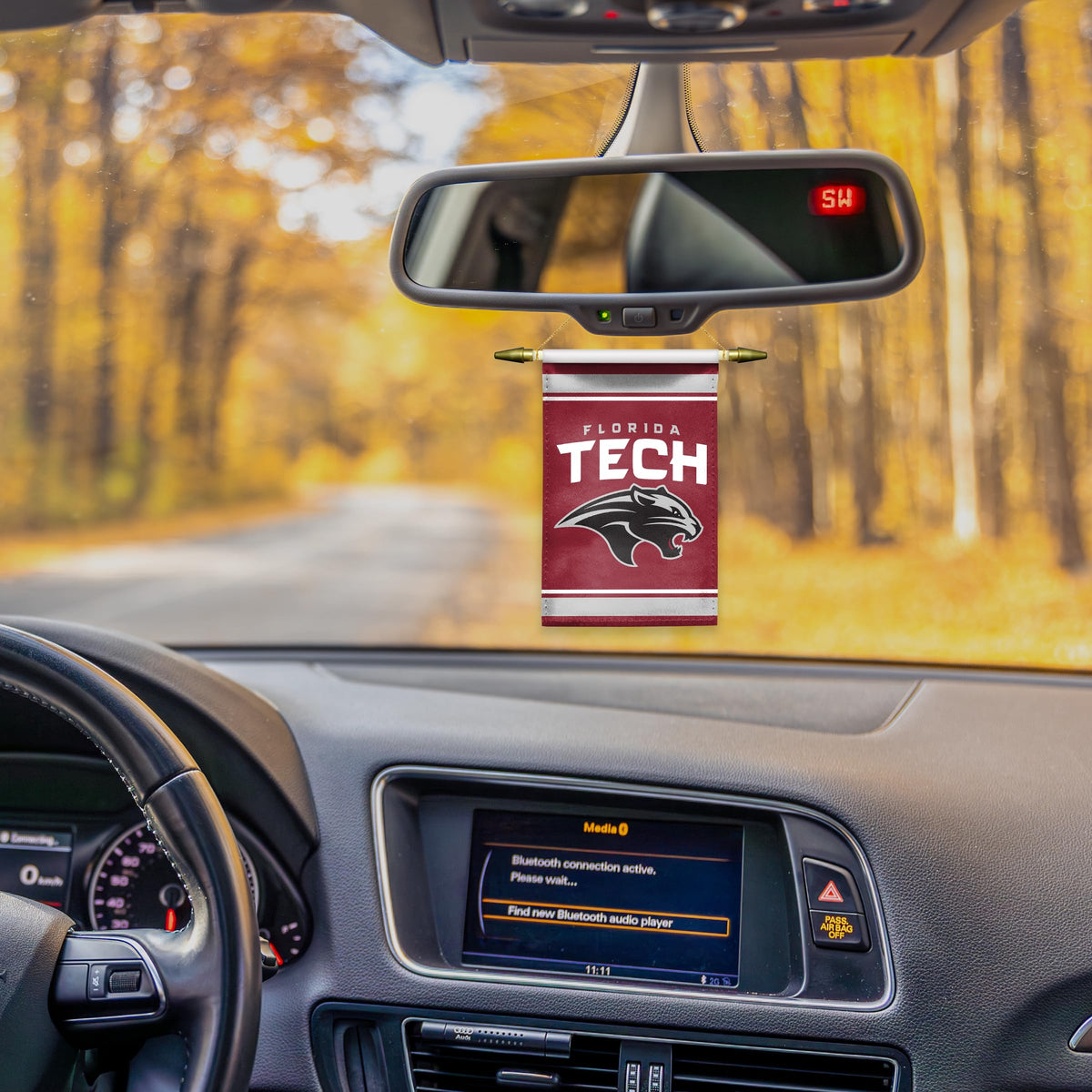Florida Institute Of Technology Mini Banner 4 x 6 inch