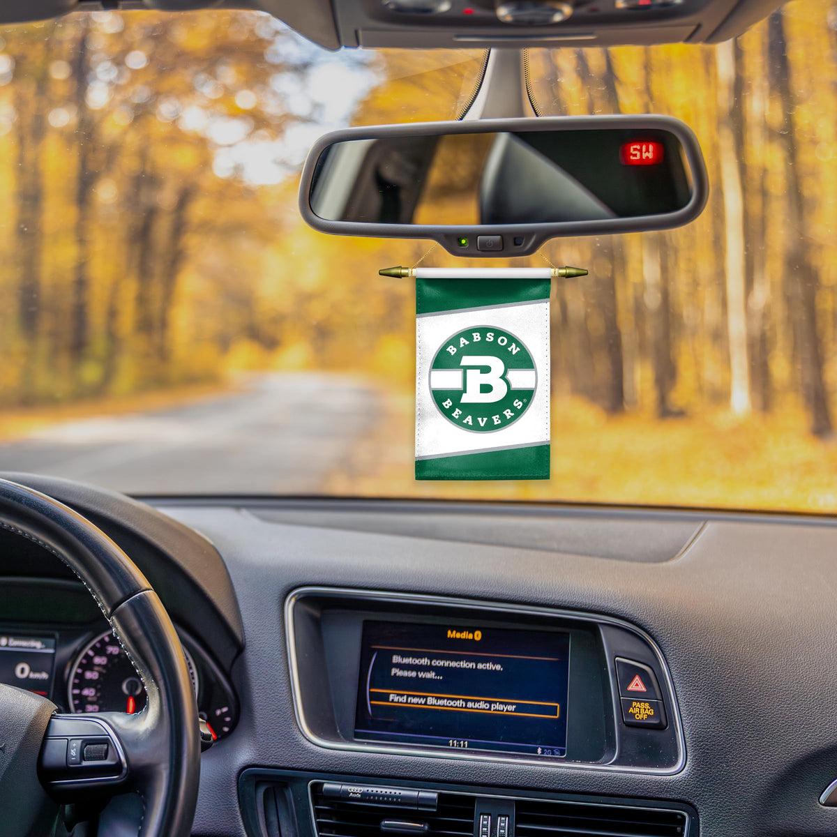 Babson College Mini Banner 4 x 6 inch