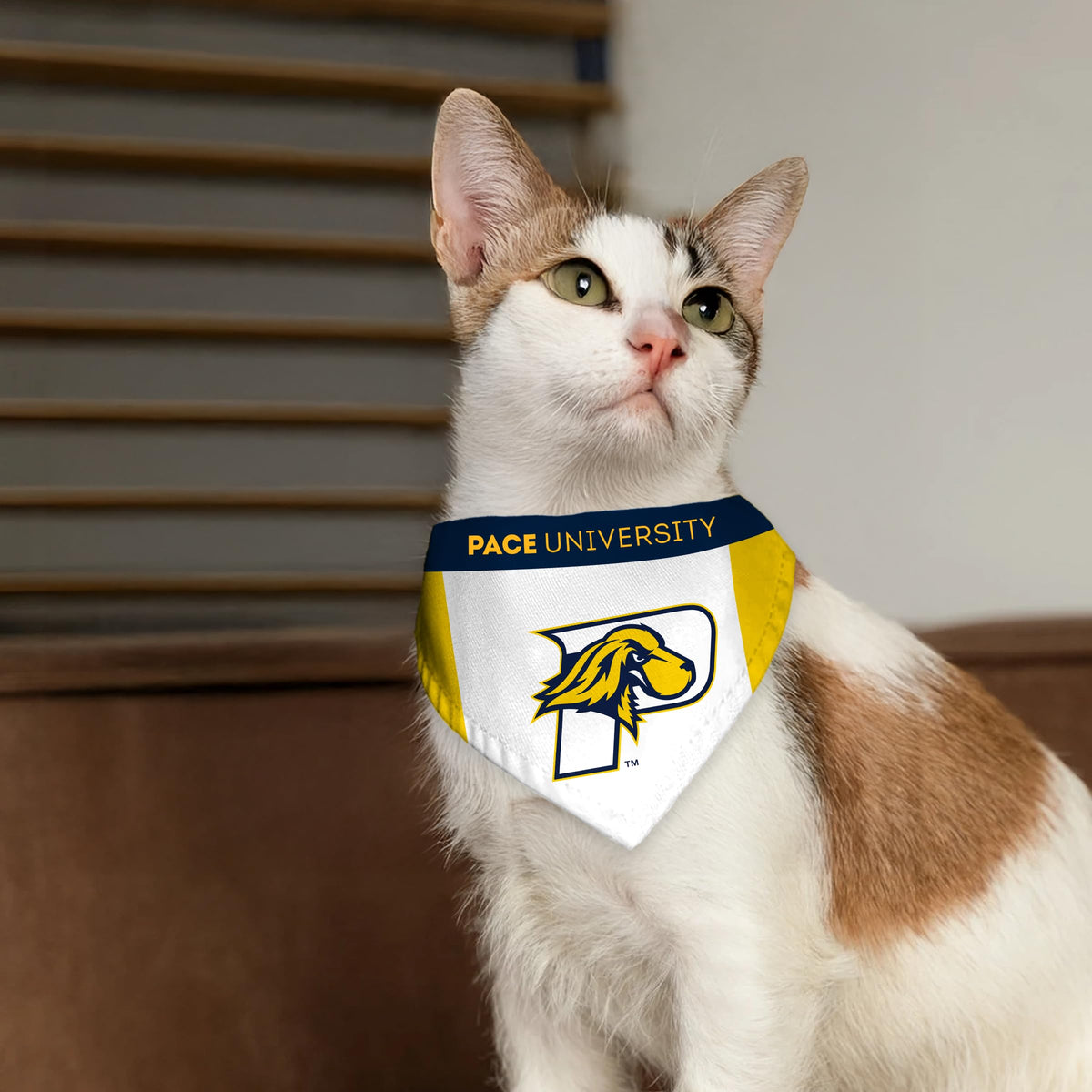 Pace University Pet Bandana 9.75 x 6.5 inch