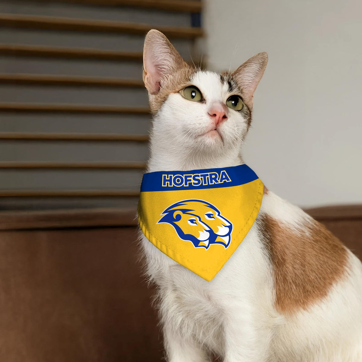 Hofstra University Pet Bandana 9.75 x 6.5 inch