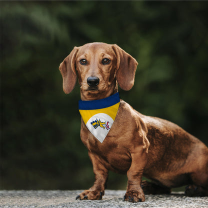 AGAS Drexel University Pet Bandana 14.75 x 9.5 inch – Single Sided Printed Polyester Dragons Mascot Logo – Officially Licensed Drexel Dragons Pet Bandana