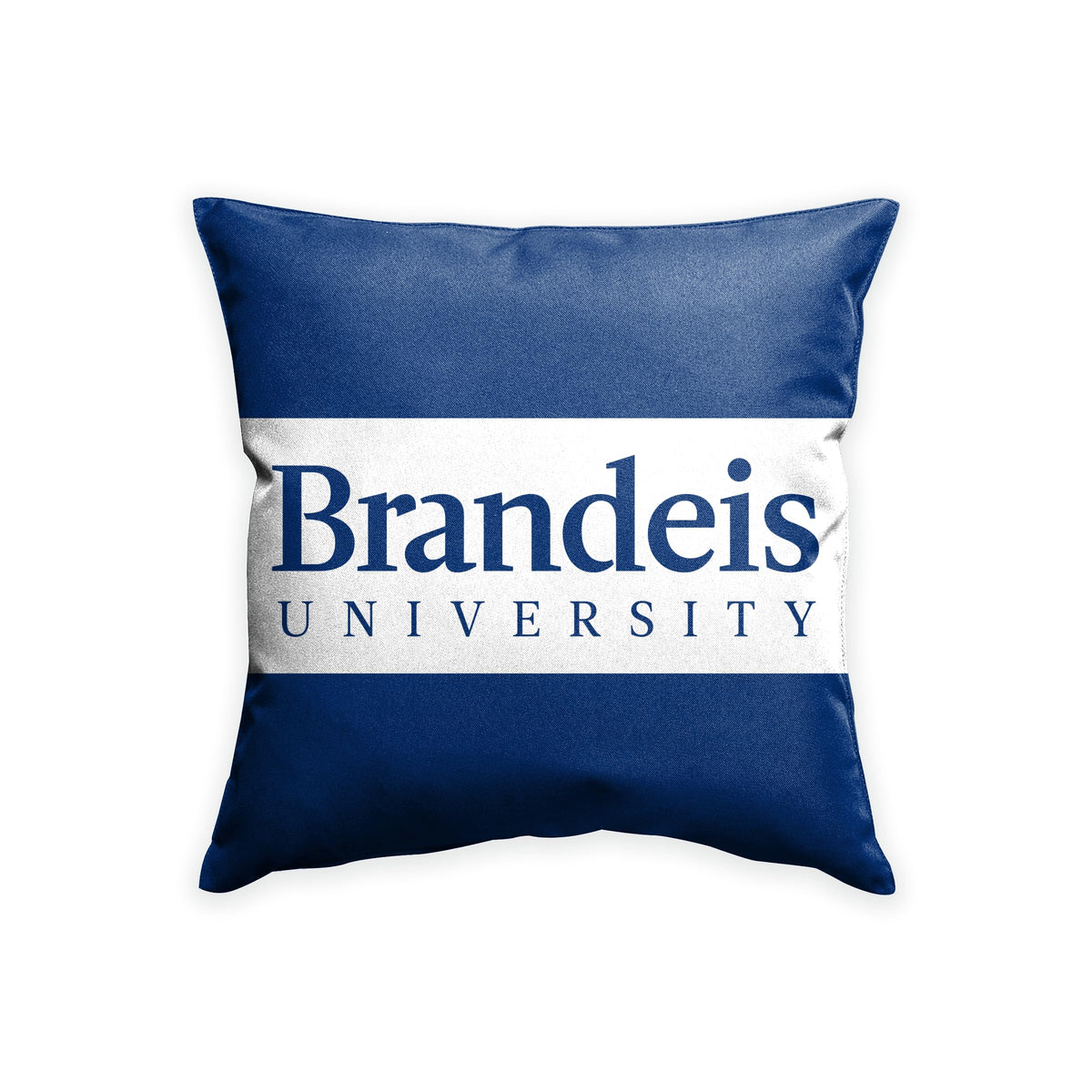 Brandeis University Cushion Cover 18 x 18 inch