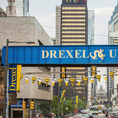 AGAS 15' Drexel DU Dragons Pennant Banner, Navy Triangle Flag Bunting Party Decorations, Game Day, Dorms, College Party V-Shaped Streamers, Drexel Bunting
