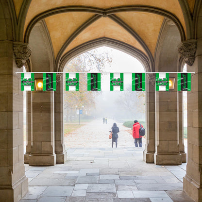 Marshall University Rectangle Pennant String 9 x 12 inch