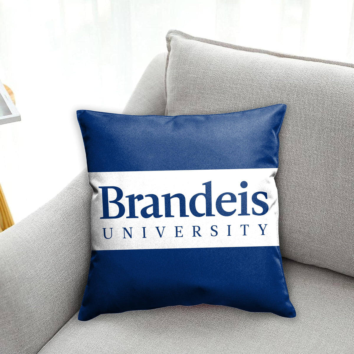 Brandeis University Cushion Cover 18 x 18 inch