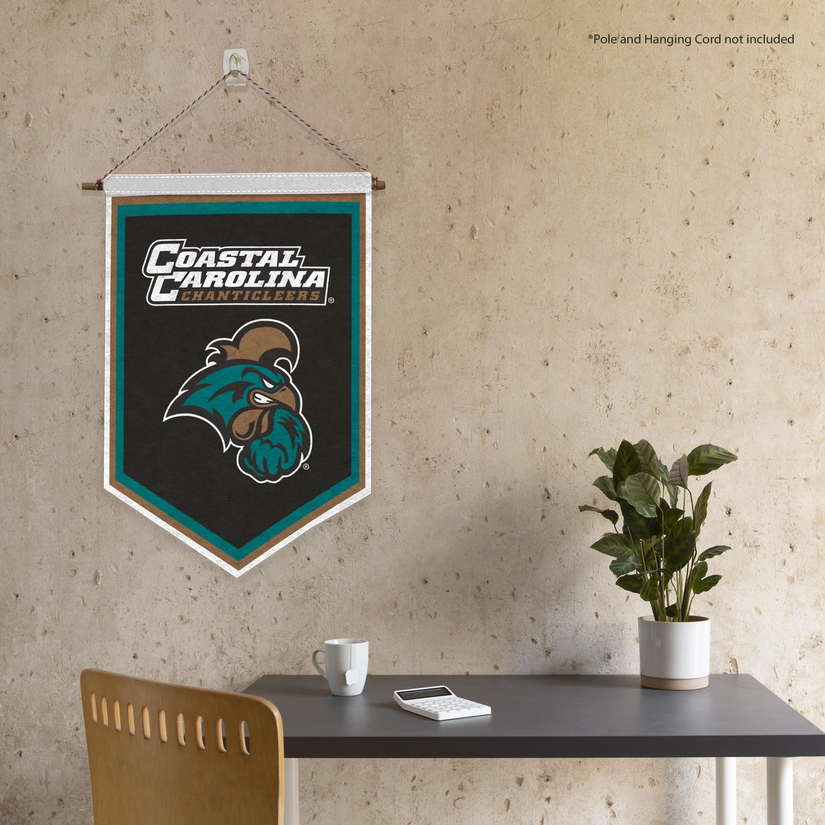 AGAS Mini Coastal Carolina CCU University Chanticleers Graduation Banner 12 x 18" - with Pole Sleeve