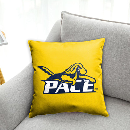 Pace University Cushion Cover 18 x 18 inch