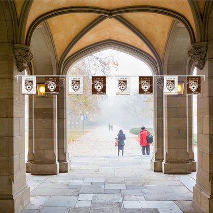 AGAS 30' Lehigh Lu University Decorations, Graduation Pennant Flags, Football Décor for Congrats Grad Party