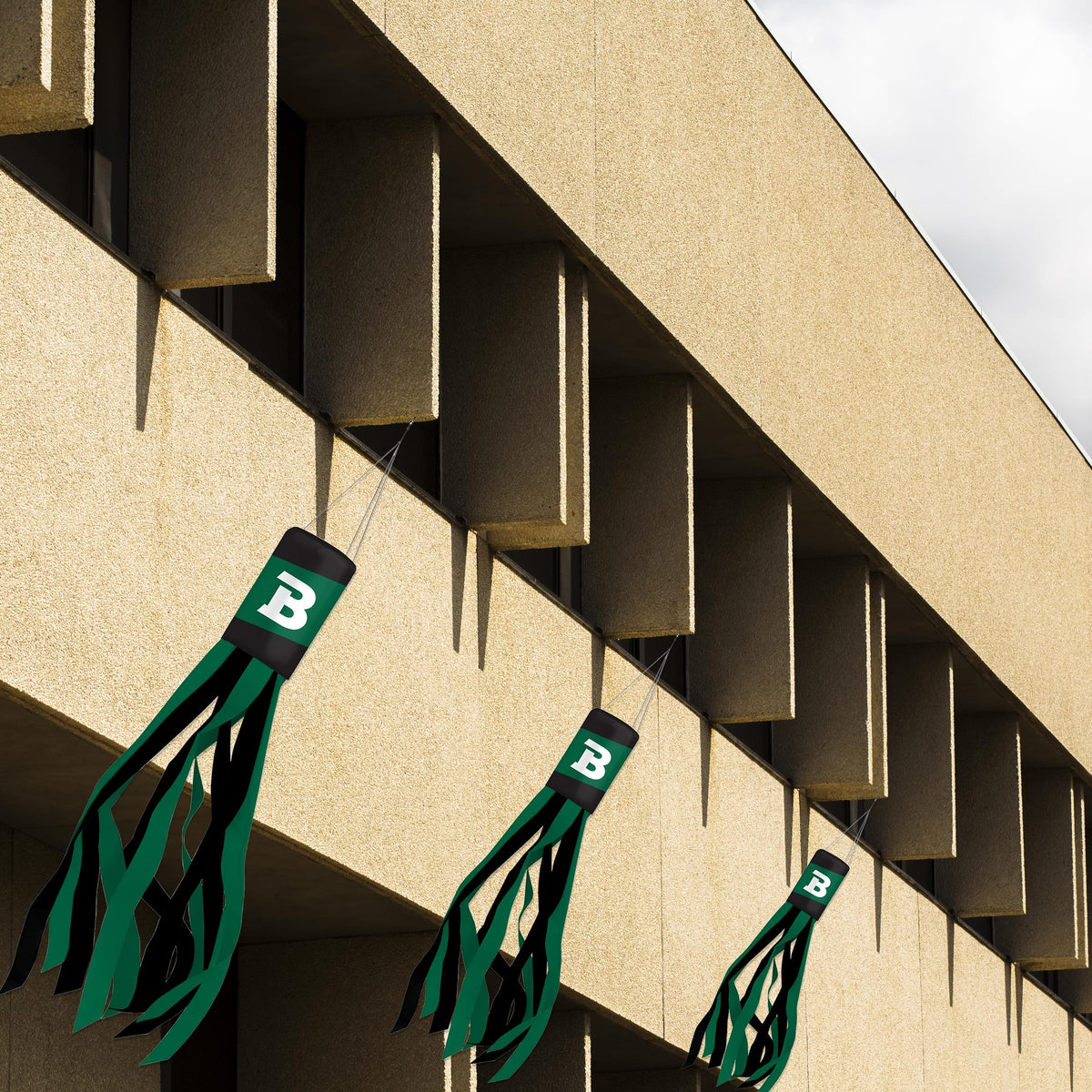 Babson College Windsock 30 x 5.5 inch