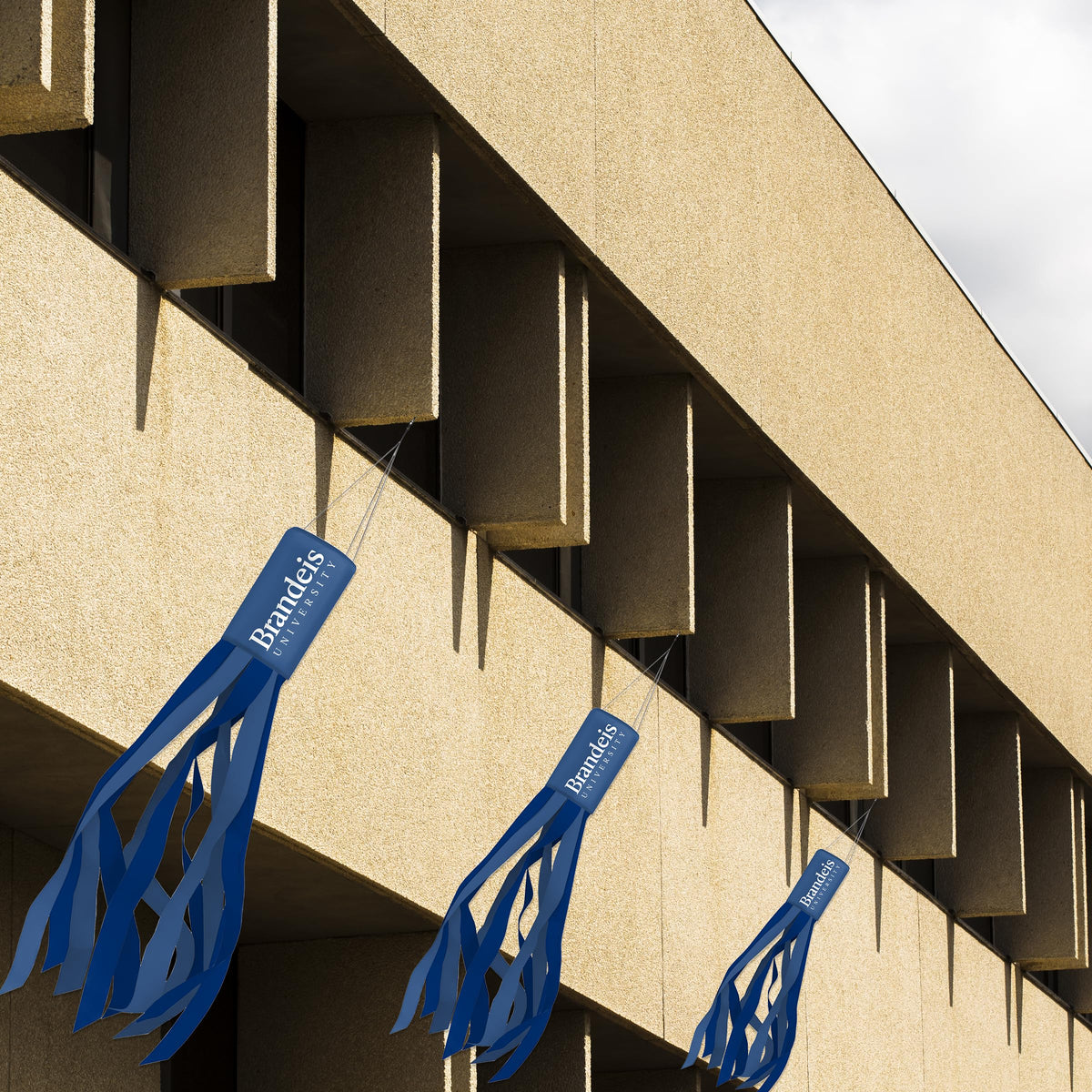 Brandeis University Windsock 30 x 5.5 inch