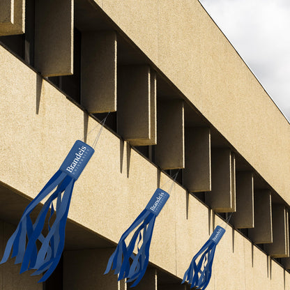 Brandeis University Windsock 30 x 5.5 inch