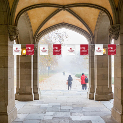 AGAS Stony Brook University Rectangle Pennant Banner String 9 x 12 inch – 30 ft Pennants Stony Brook Seawolves Design – Official NCAA SBU Product – Party Decoration with 18 Pieces
