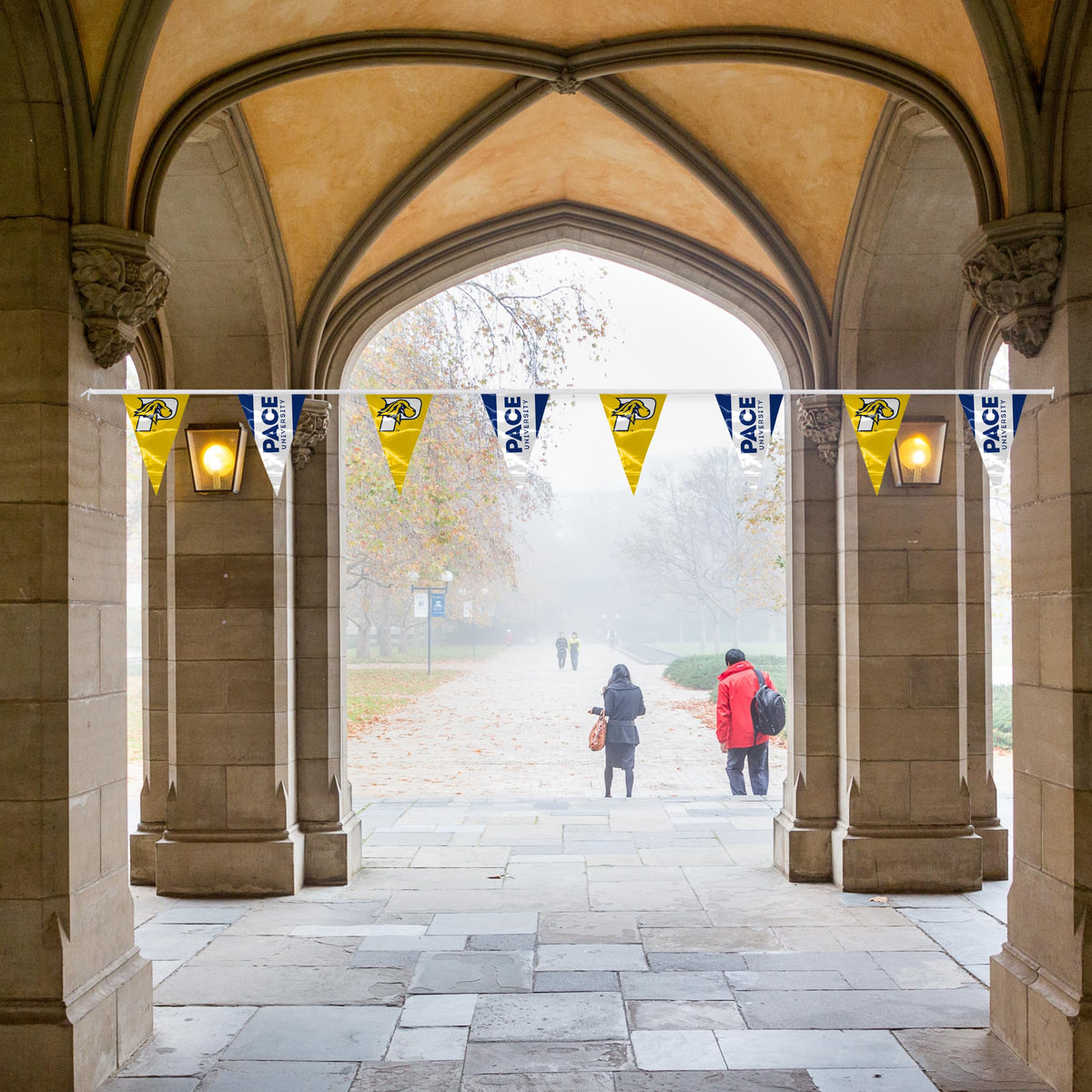 Pace University Pennant String 4 x 6 inch